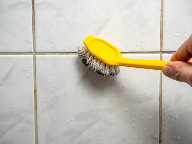 Best Insurance-Related Mold Remediation in Augusta, GA