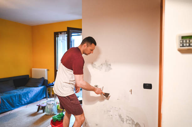 Best Mold Testing and Inspection Services in Augusta, GA